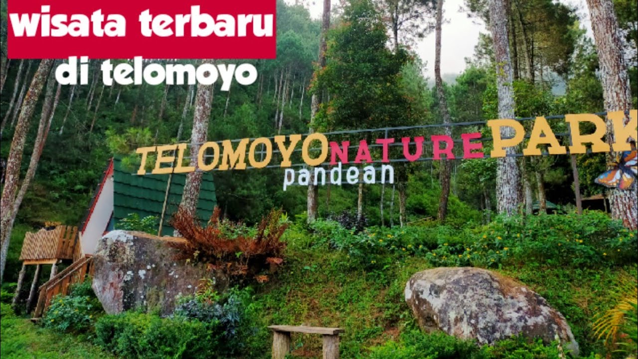 Telomoyo Nature Park: Destinasi Alam yang Unik dan Menawan